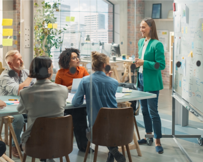 iMBA-start management & leiderschap (NL) 